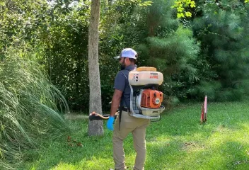 mosquito control