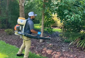 mosquito control