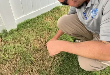 turf management