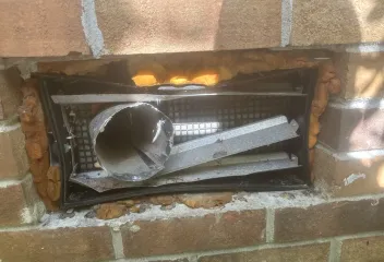rodent control