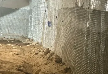 rodent control