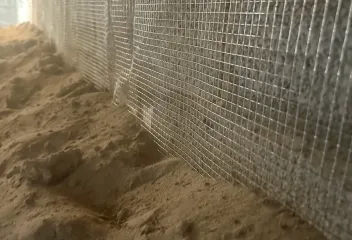 rodent control