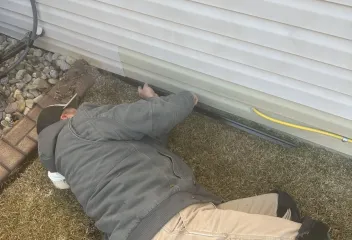 rodent control