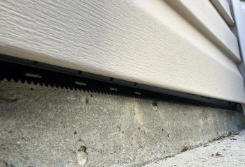 rodent control
