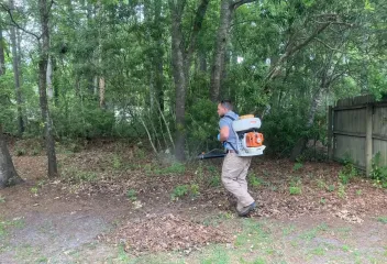 mosquito control
