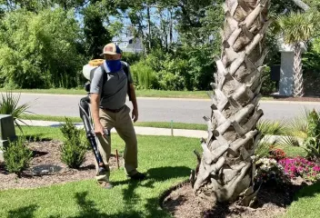 mosquito control
