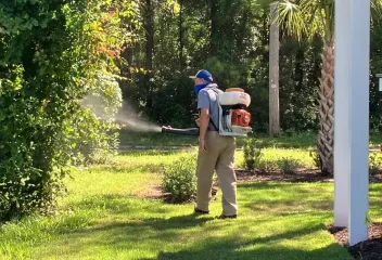 mosquito control