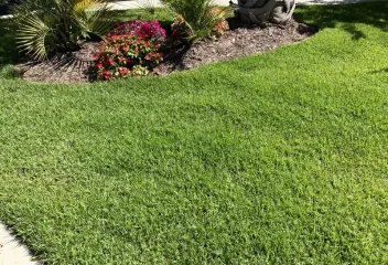 turf management
