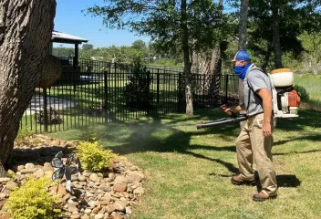 mosquito control