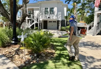 mosquito control