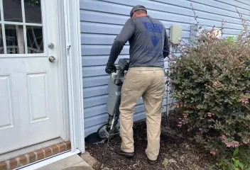 termite control