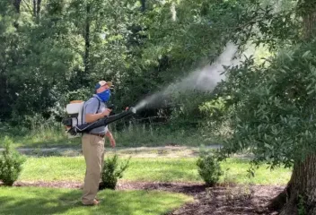 mosquito control