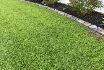 turf management