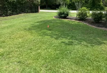 turf management