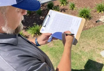 termite control