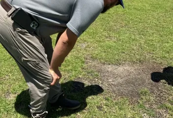 turf management