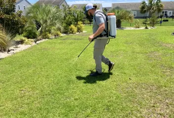 turf management