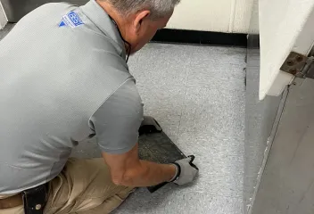 commercial pest control