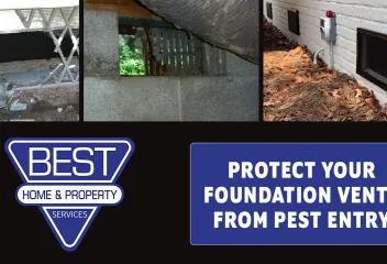 rodent control
