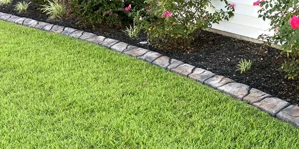 green healthy grass