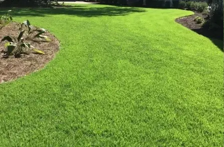 grass after