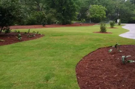 grass before