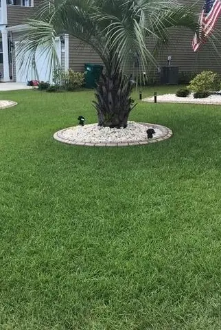 grass after