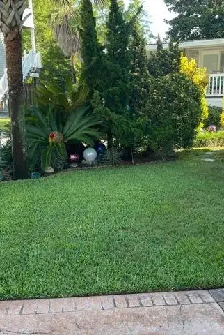 grass after