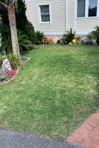 grass before