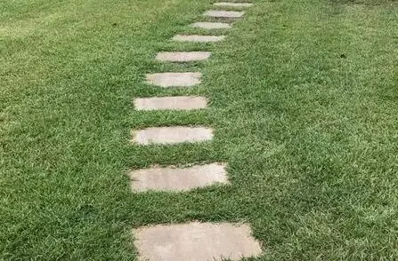 grass after