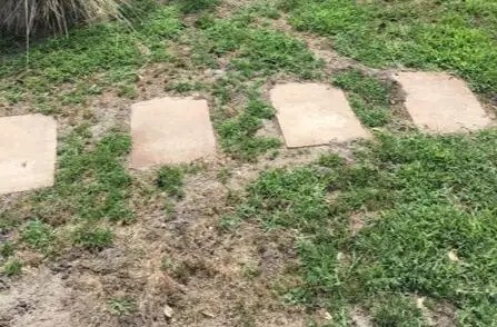 grass before