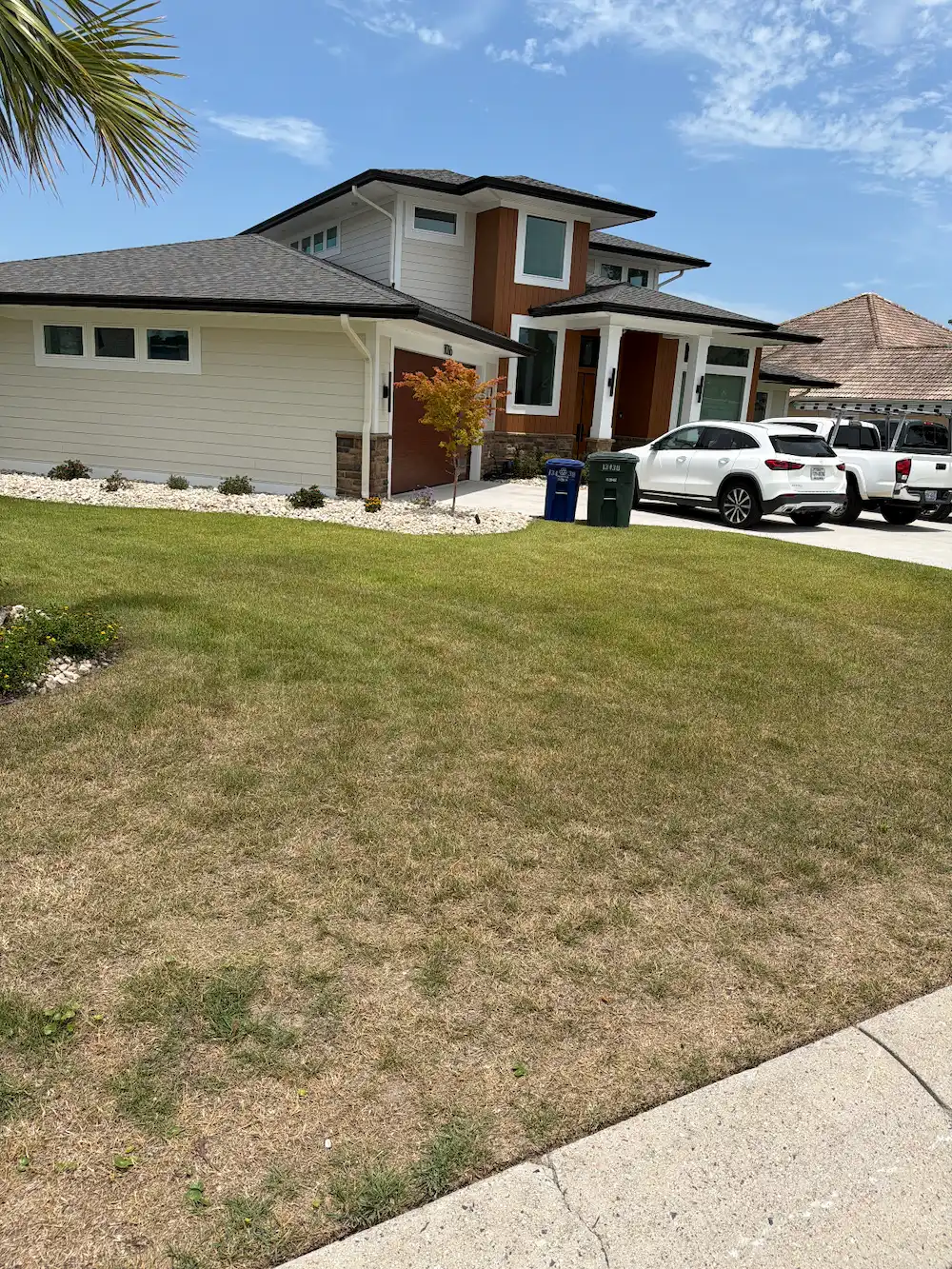 front lawn before photo