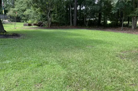 lawn