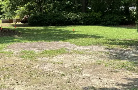lawn