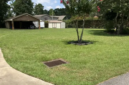 lawn