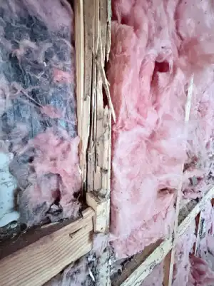 termite damage