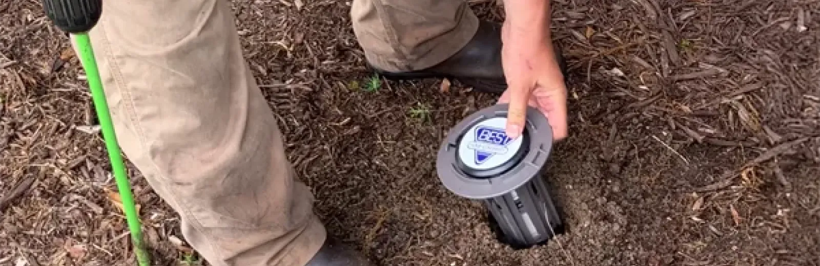 termite bait installation